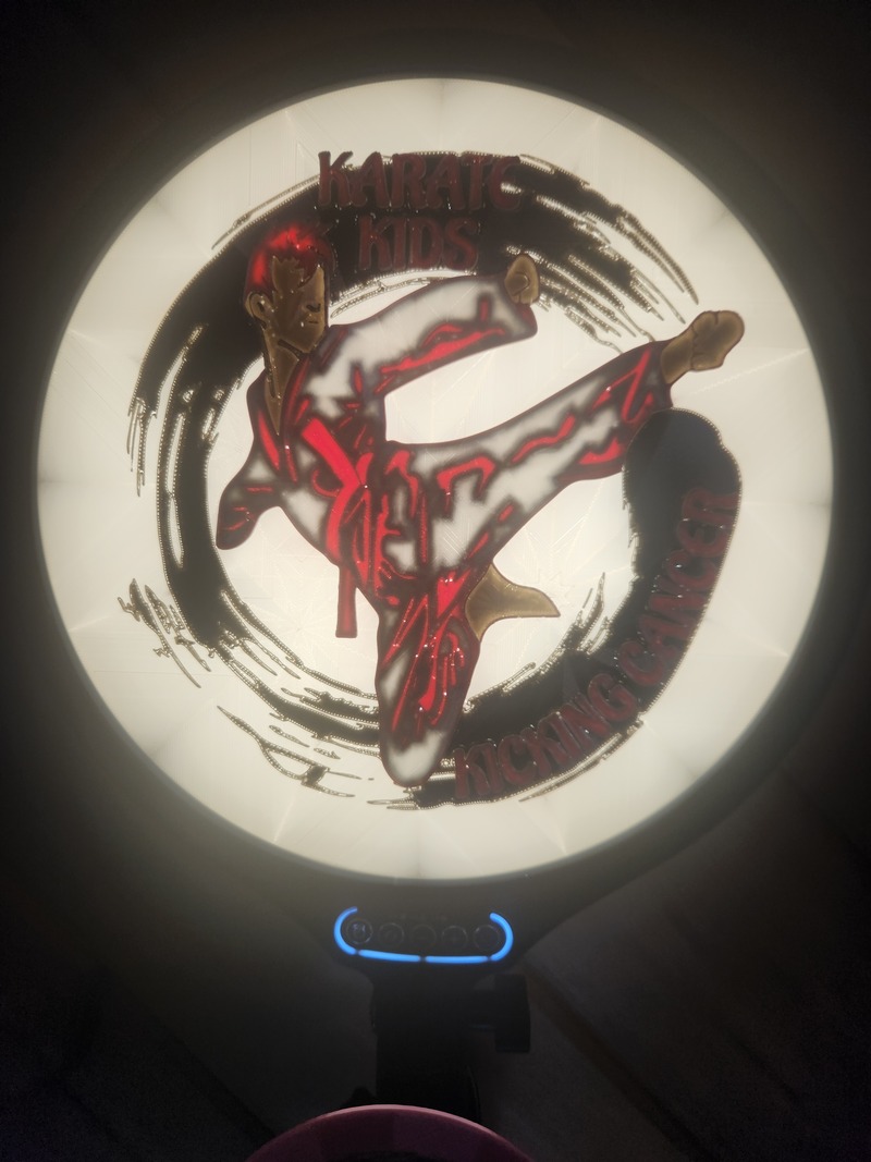 Karate Kids Kicking Cancer Large Print Lens Lit